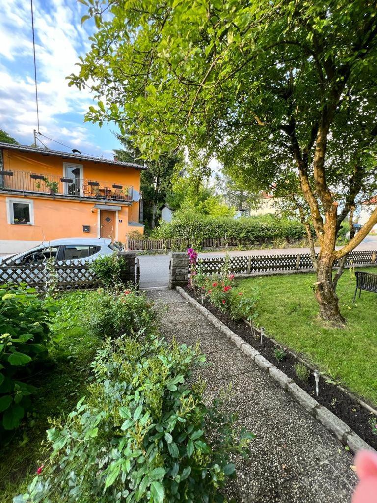 Pension Donaublick Grein 1 , Spitzfeldstr 1 المظهر الخارجي الصورة